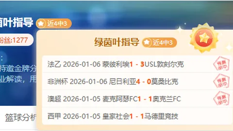 瑞士公开赛男单冠军：羽毛球天才五战皆捷，英勇表现夺眼球