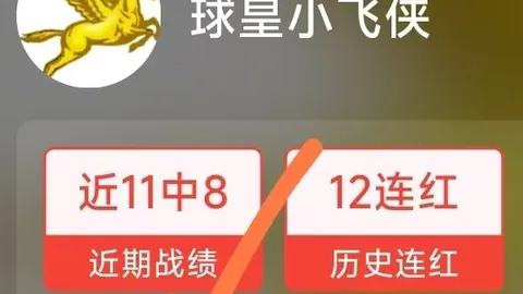 ：汉堡队喜迎前莱斯特神锋帕森达卡，战袍27号荣耀登场